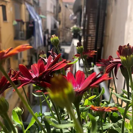 فندق مبيت وإفطار Nonno Peppe Accomodetion